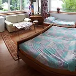 Olech Wrzosowo (Kamien)