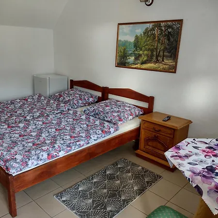 Olech * Wrzosowo (Kamien)