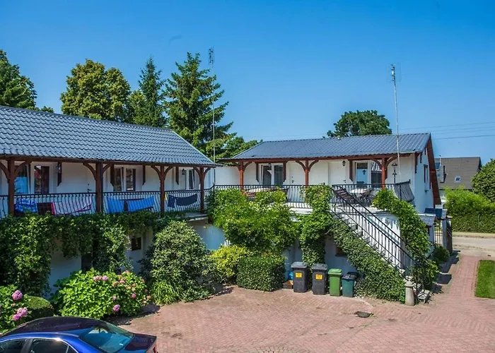 Olech Wrzosowo (Kamien)