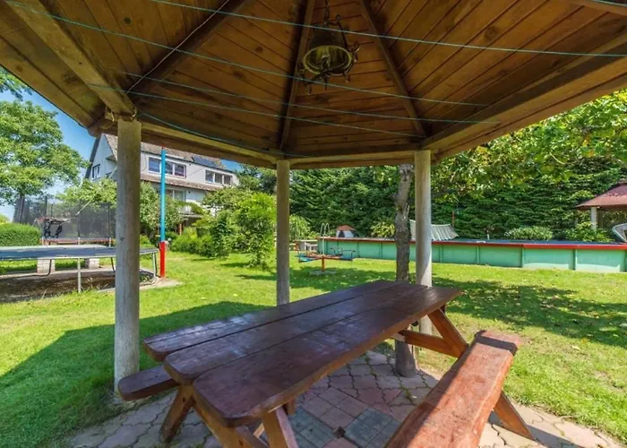 Olech Wrzosowo (Kamien)