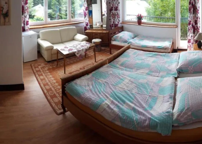 Olech Wrzosowo (Kamien)