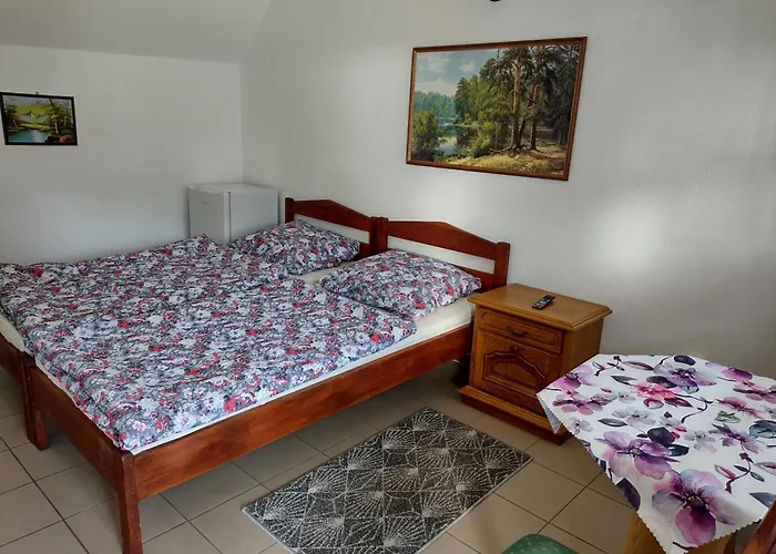 Olech * Wrzosowo (Kamien)